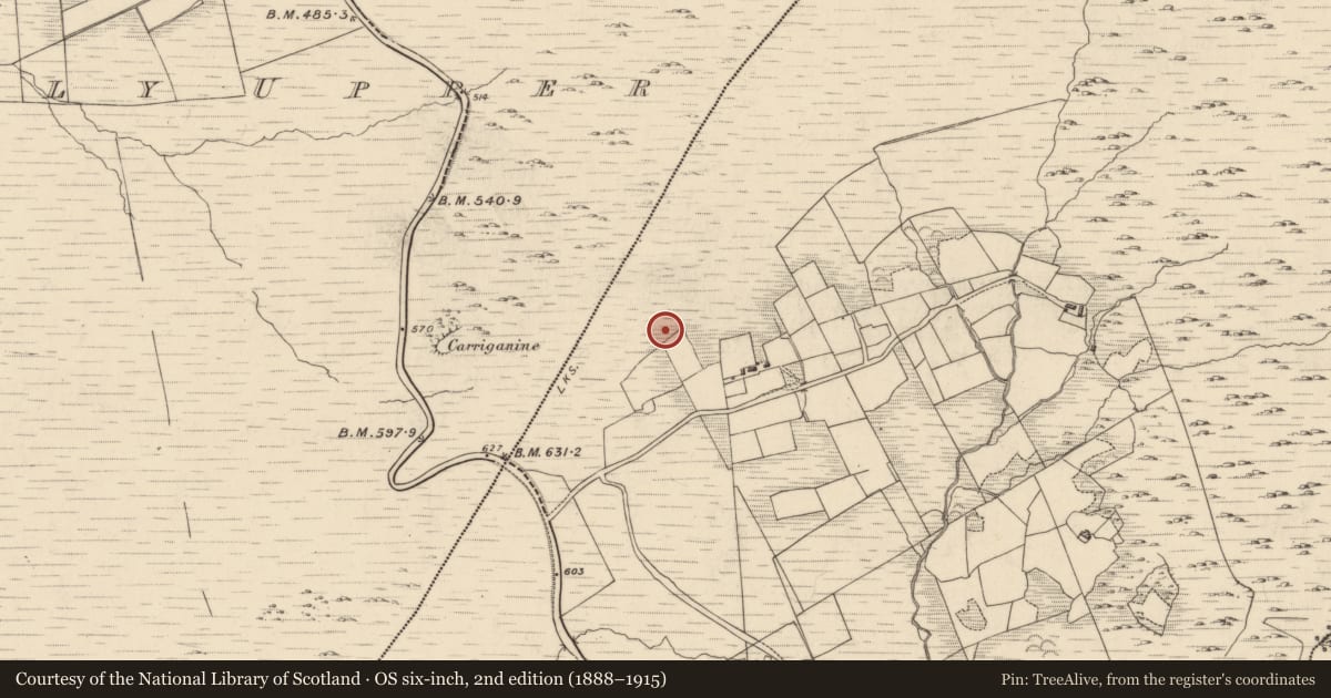 Ordnance Survey six-inch map, 2nd edition (1888–1915) covering the location of Field boundary, Garranes, County Kerry, with a pin at the register's coordinates