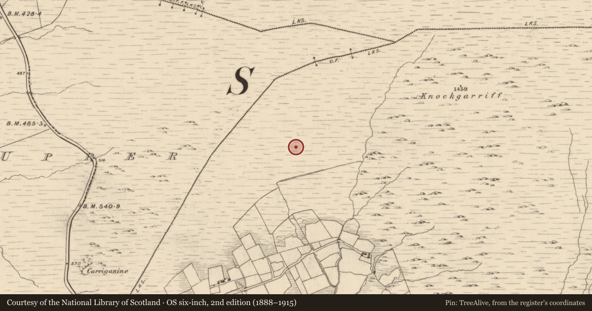 Ordnance Survey six-inch map, 2nd edition (1888–1915) covering the location of Fulacht fia, Garranes, County Kerry, with a pin at the register's coordinates