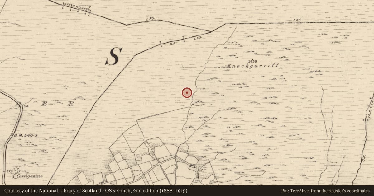 Ordnance Survey six-inch map, 2nd edition (1888–1915) covering the location of Field boundary, Garranes, County Kerry, with a pin at the register's coordinates