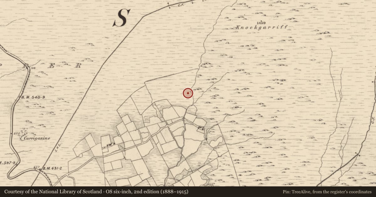 Ordnance Survey six-inch map, 2nd edition (1888–1915) covering the location of Enclosure, Garranes, County Kerry, with a pin at the register's coordinates