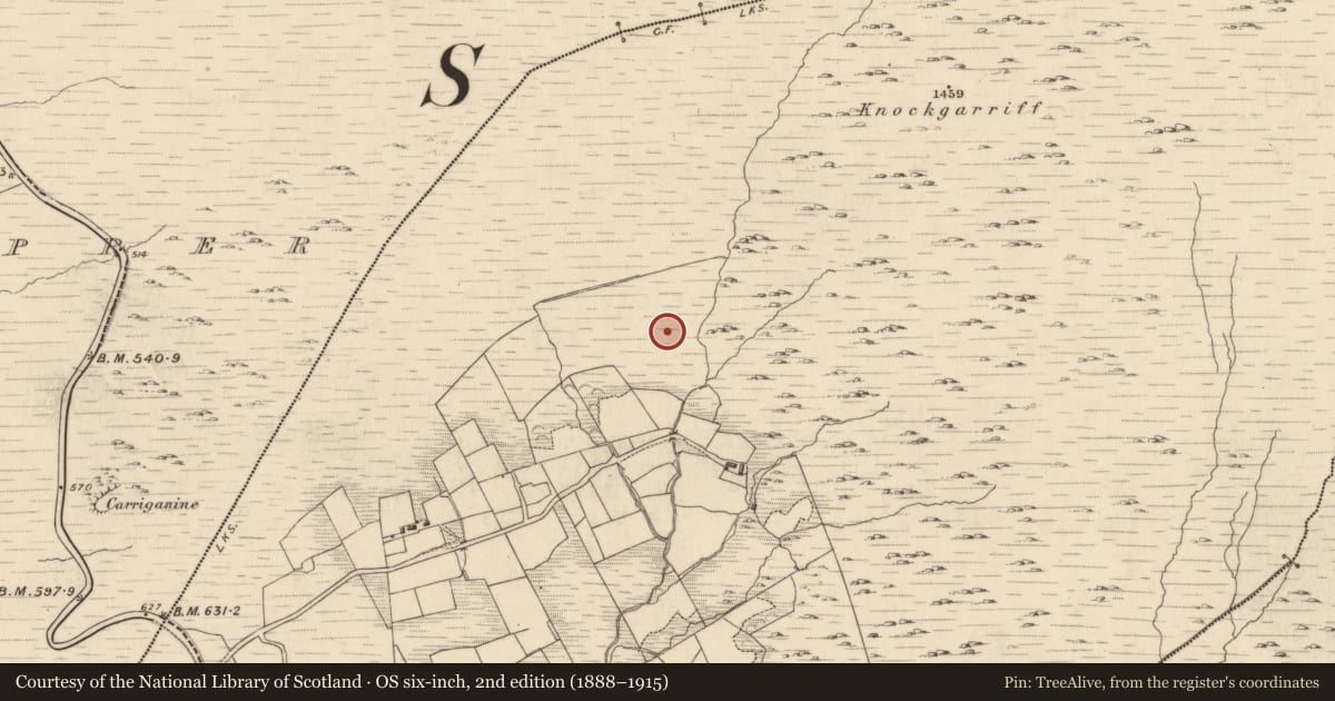 Ordnance Survey six-inch map, 2nd edition (1888–1915) covering the location of Field boundary, Garranes, County Kerry, with a pin at the register's coordinates