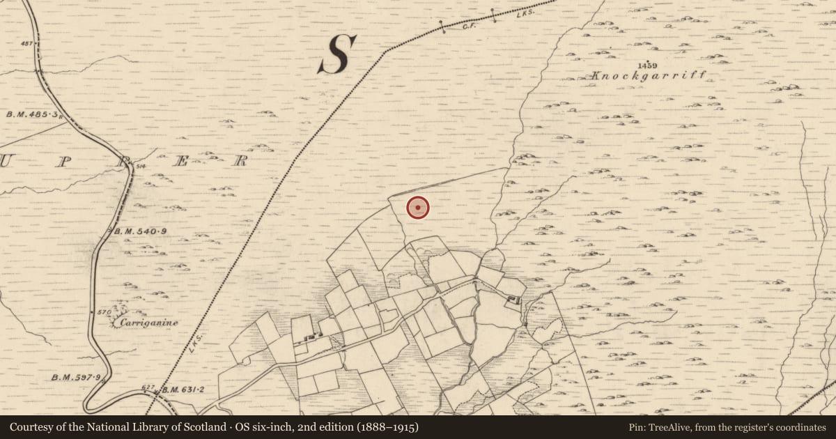Ordnance Survey six-inch map, 2nd edition (1888–1915) covering the location of Fulacht fia, Garranes, County Kerry, with a pin at the register's coordinates