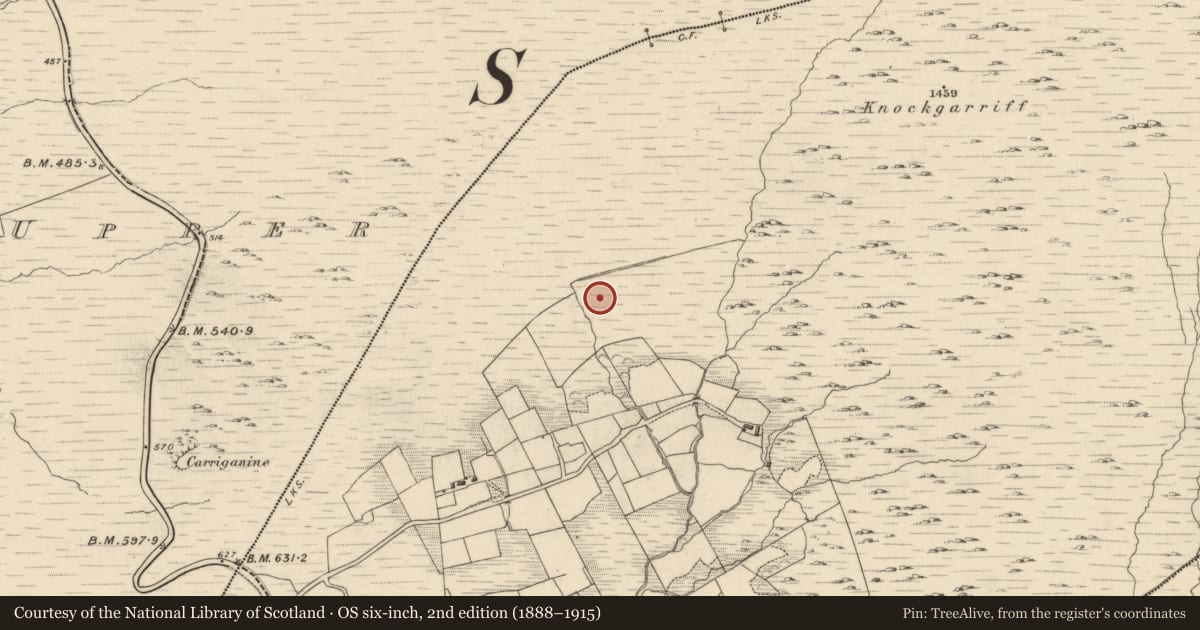 Ordnance Survey six-inch map, 2nd edition (1888–1915) covering the location of Fulacht fia, Garranes, County Kerry, with a pin at the register's coordinates