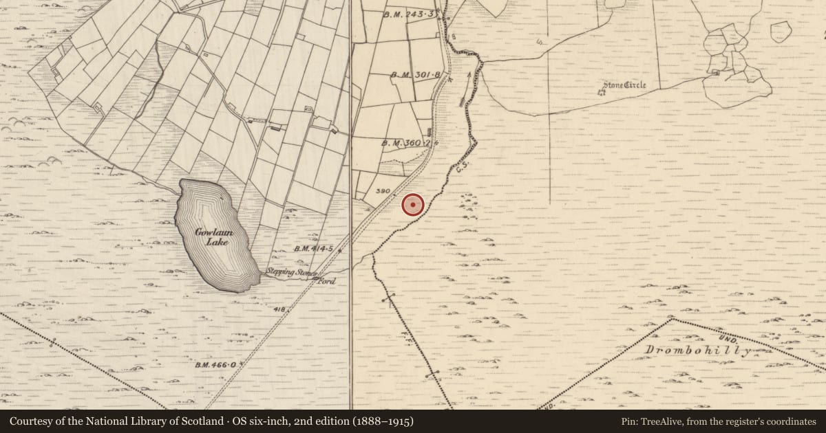 Ordnance Survey six-inch map, 2nd edition (1888–1915) covering the location of Enclosure, Lehid, County Kerry, with a pin at the register's coordinates