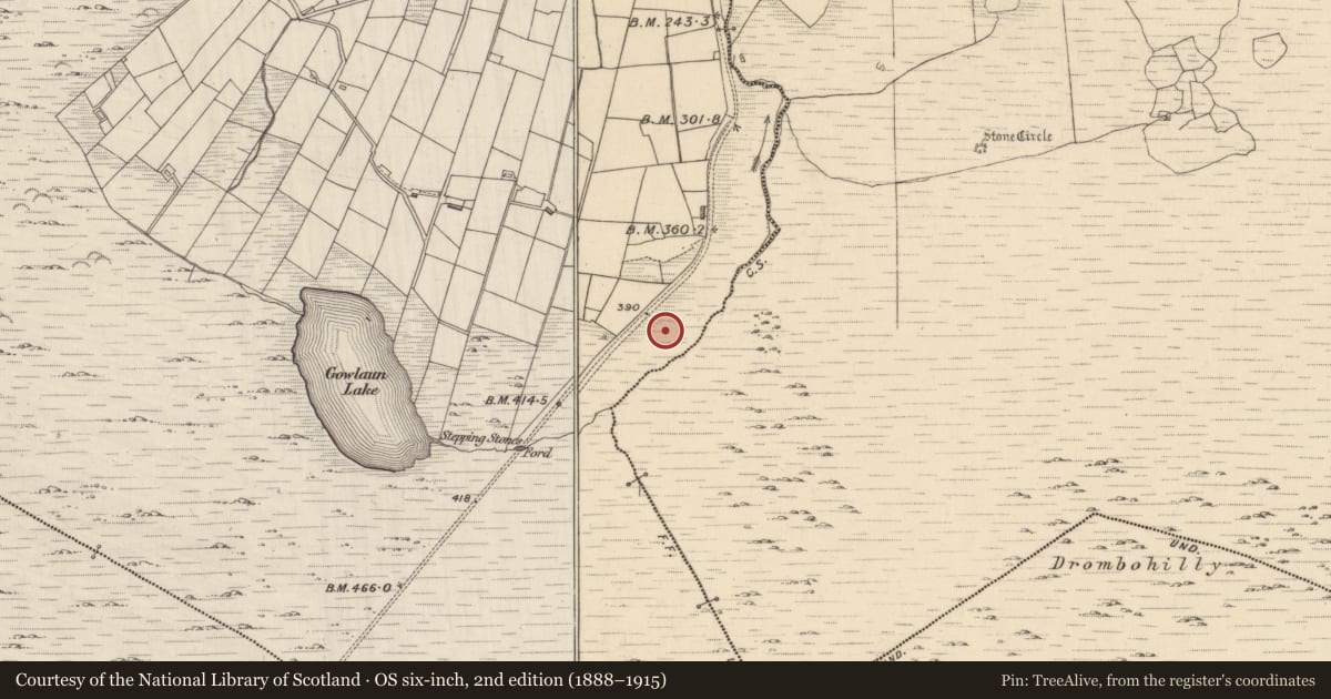 Ordnance Survey six-inch map, 2nd edition (1888–1915) covering the location of Field boundary, Lehid, County Kerry, with a pin at the register's coordinates