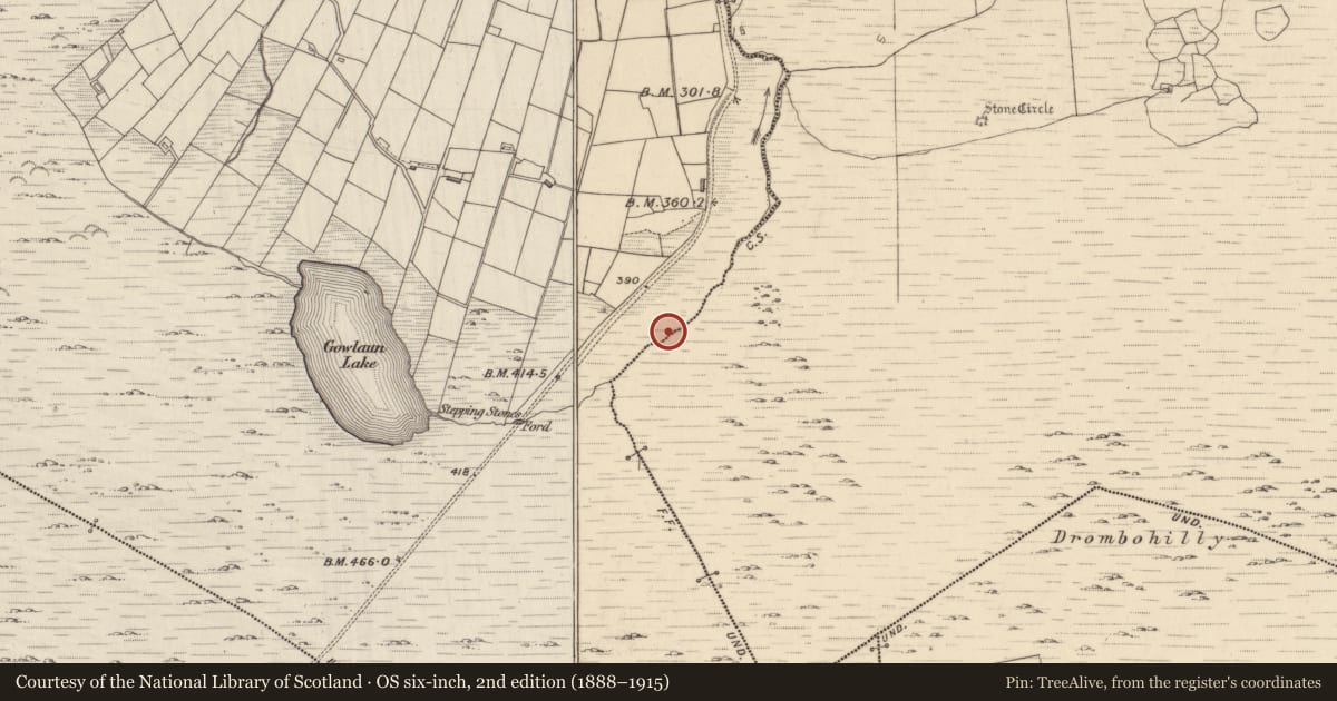 Ordnance Survey six-inch map, 2nd edition (1888–1915) covering the location of Burnt spread, Lehid, County Kerry, with a pin at the register's coordinates