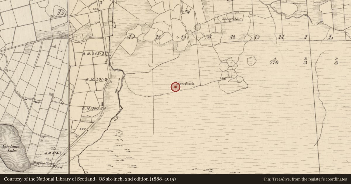 Ordnance Survey six-inch map, 2nd edition (1888–1915) covering the location of Stone circle - multiple-stone, Drombohilly Upper, County Kerry, with a pin at the register's coordinates