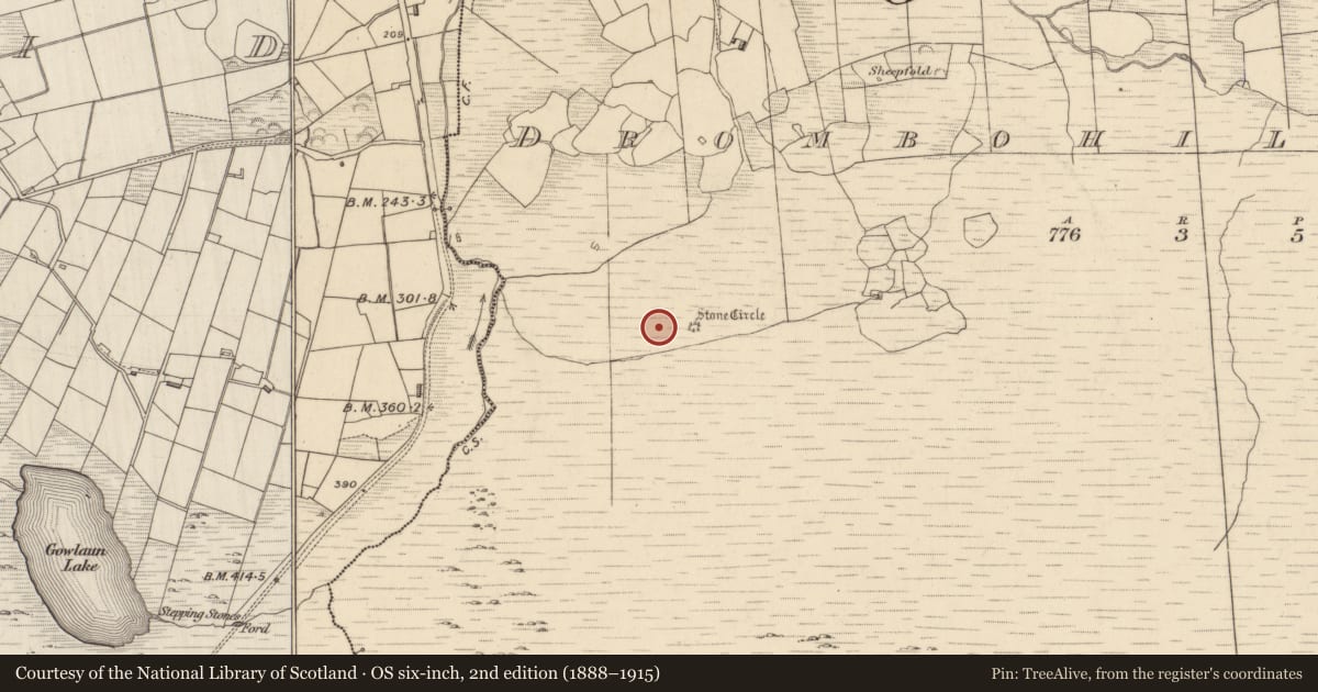 Ordnance Survey six-inch map, 2nd edition (1888–1915) covering the location of Field boundary, Drombohilly Upper, County Kerry, with a pin at the register's coordinates