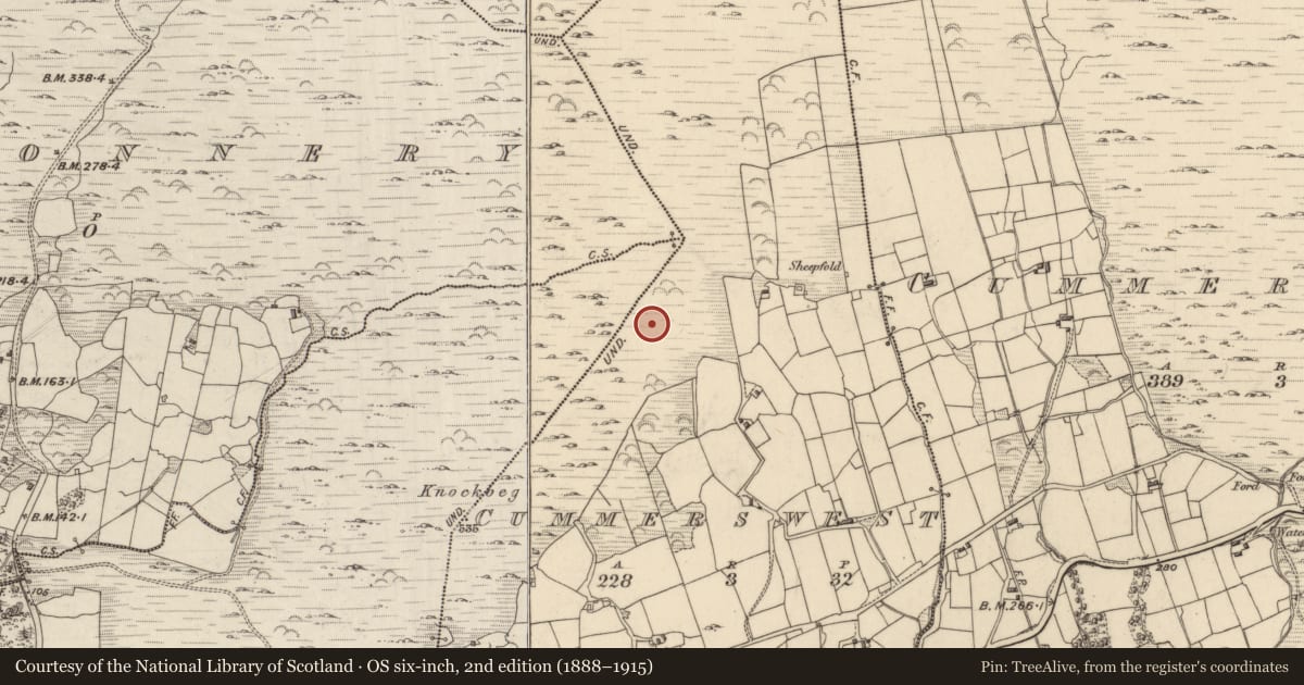 Ordnance Survey six-inch map, 2nd edition (1888–1915) covering the location of Radial-stone enclosure, Cummers West, County Kerry, with a pin at the register's coordinates