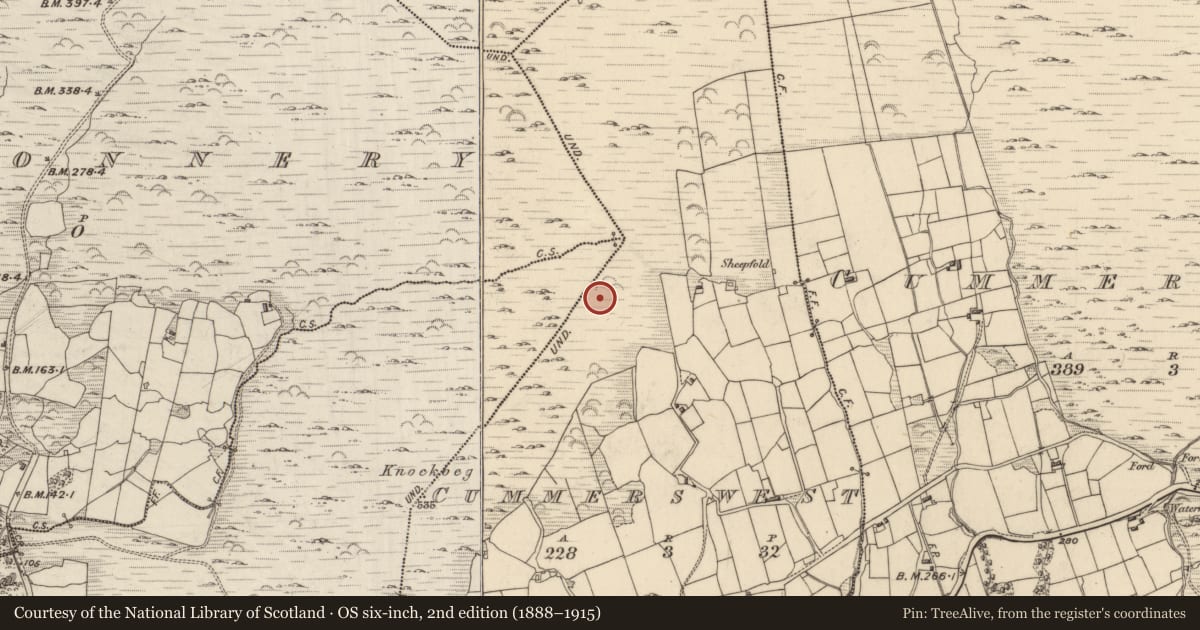 Ordnance Survey six-inch map, 2nd edition (1888–1915) covering the location of Enclosure, Cummers West, County Kerry, with a pin at the register's coordinates