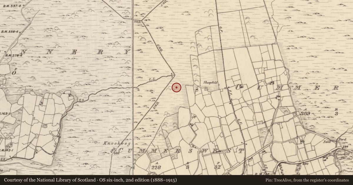 Ordnance Survey six-inch map, 2nd edition (1888–1915) covering the location of Field boundary, Cummers West, County Kerry, with a pin at the register's coordinates