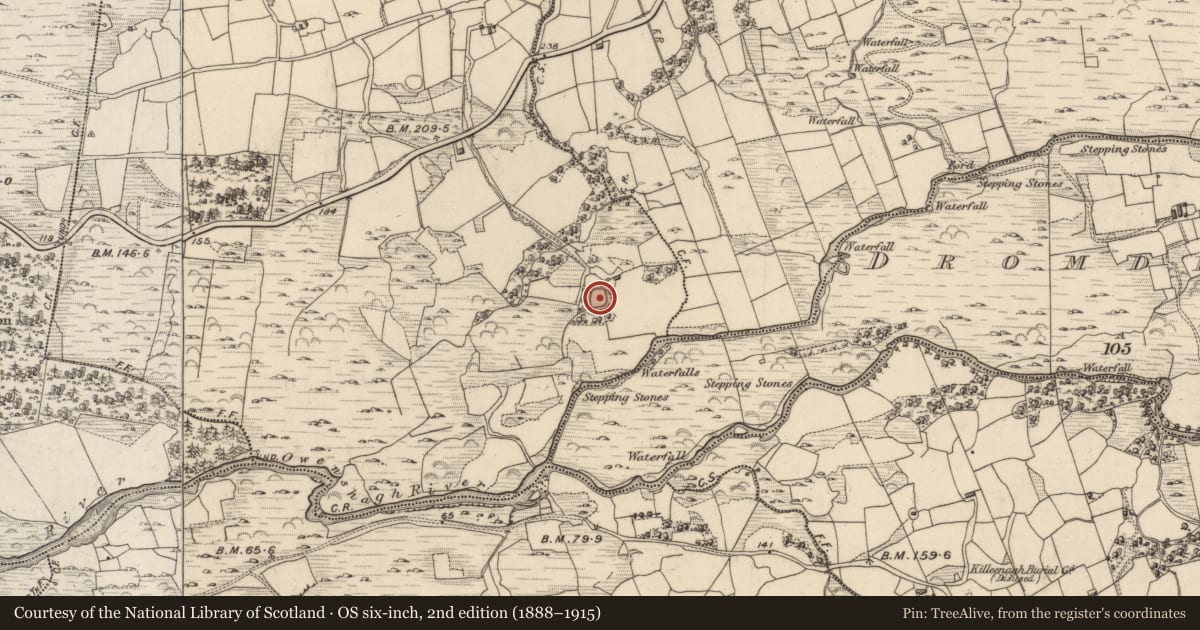 Ordnance Survey six-inch map, 2nd edition (1888–1915) covering the location of Ringfort - rath, Cummers West, County Kerry, with a pin at the register's coordinates