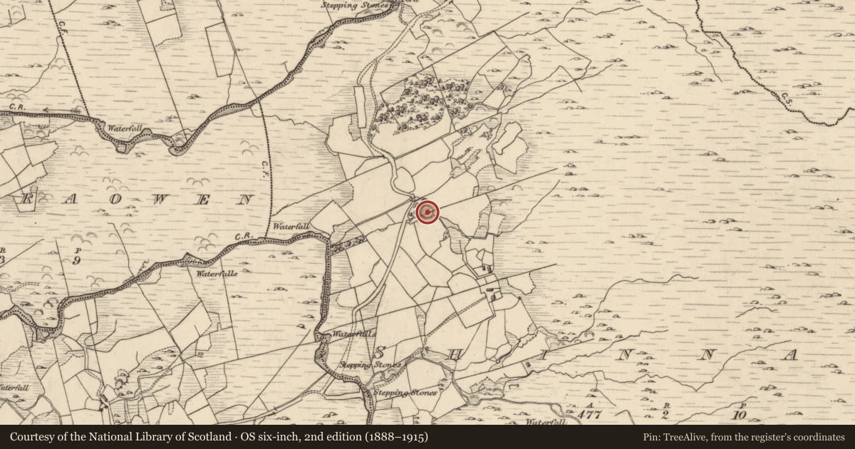 Ordnance Survey six-inch map, 2nd edition (1888–1915) covering the location of Ringfort - rath, Shinnagh, County Kerry, with a pin at the register's coordinates
