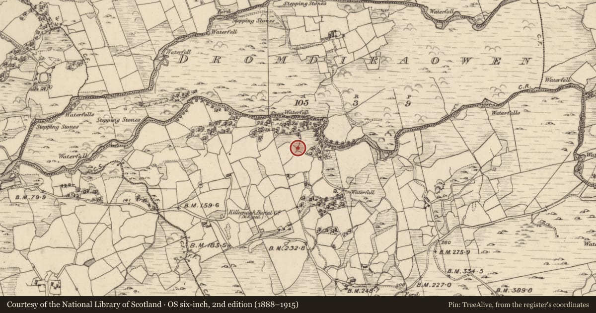 Ordnance Survey six-inch map, 2nd edition (1888–1915) covering the location of Enclosure, Fehanagh, County Kerry, with a pin at the register's coordinates