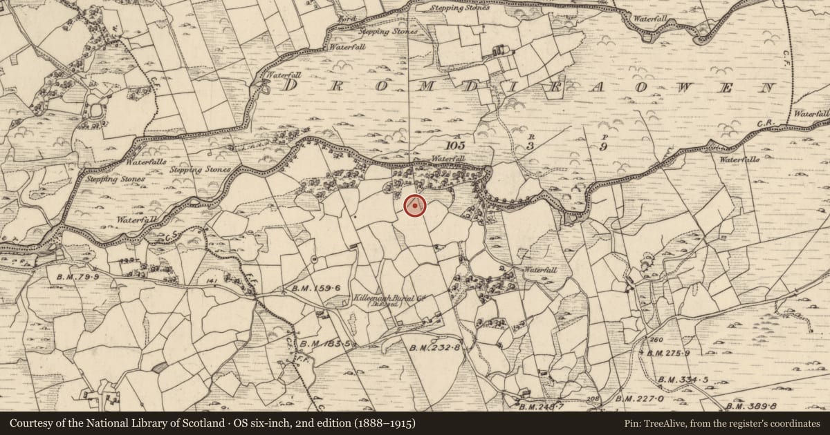 Ordnance Survey six-inch map, 2nd edition (1888–1915) covering the location of Enclosure, Fehanagh, County Kerry, with a pin at the register's coordinates
