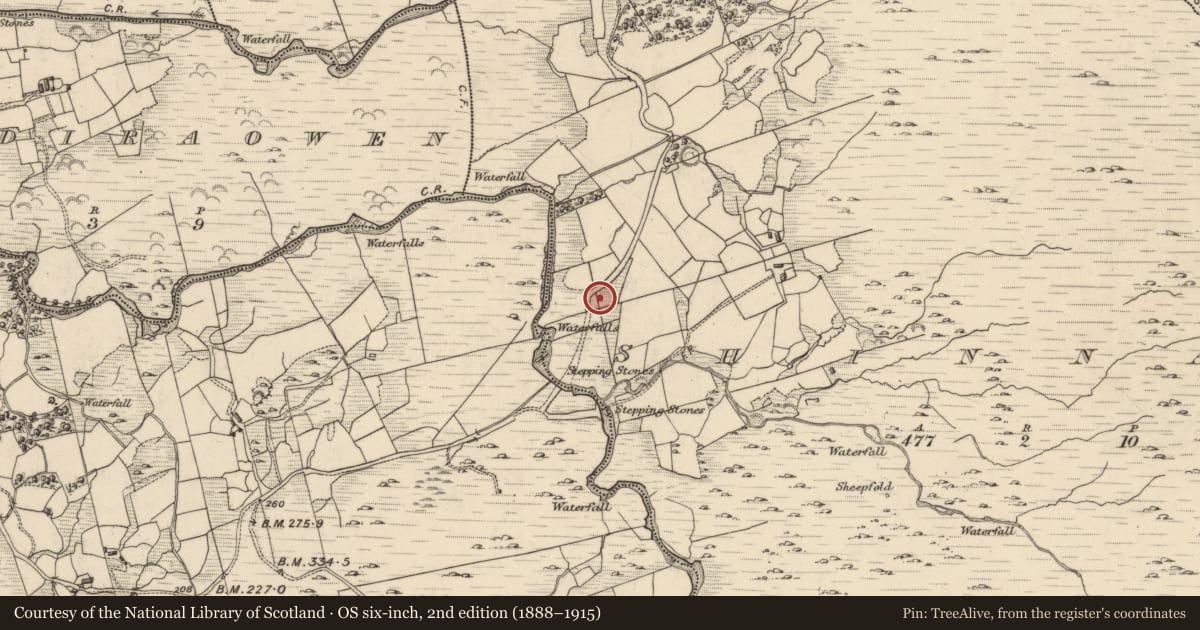 Ordnance Survey six-inch map, 2nd edition (1888–1915) covering the location of Standing stone, Shinnagh, County Kerry, with a pin at the register's coordinates