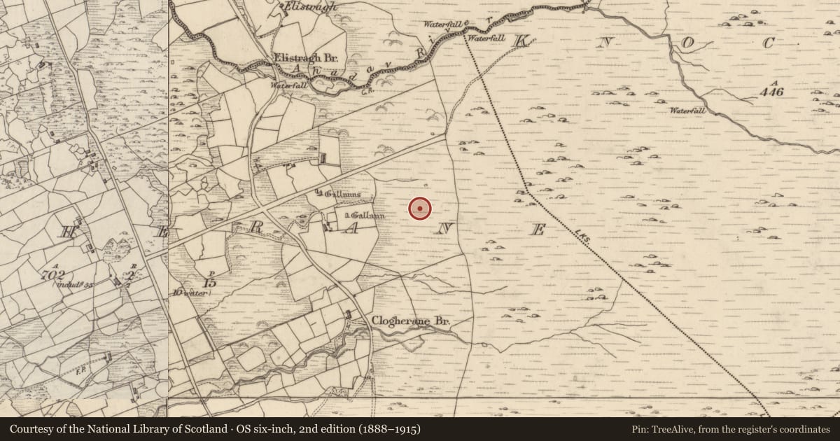 Ordnance Survey six-inch map, 2nd edition (1888–1915) covering the location of Field boundary, Clogherane, Creeveen, County Kerry, with a pin at the register's coordinates