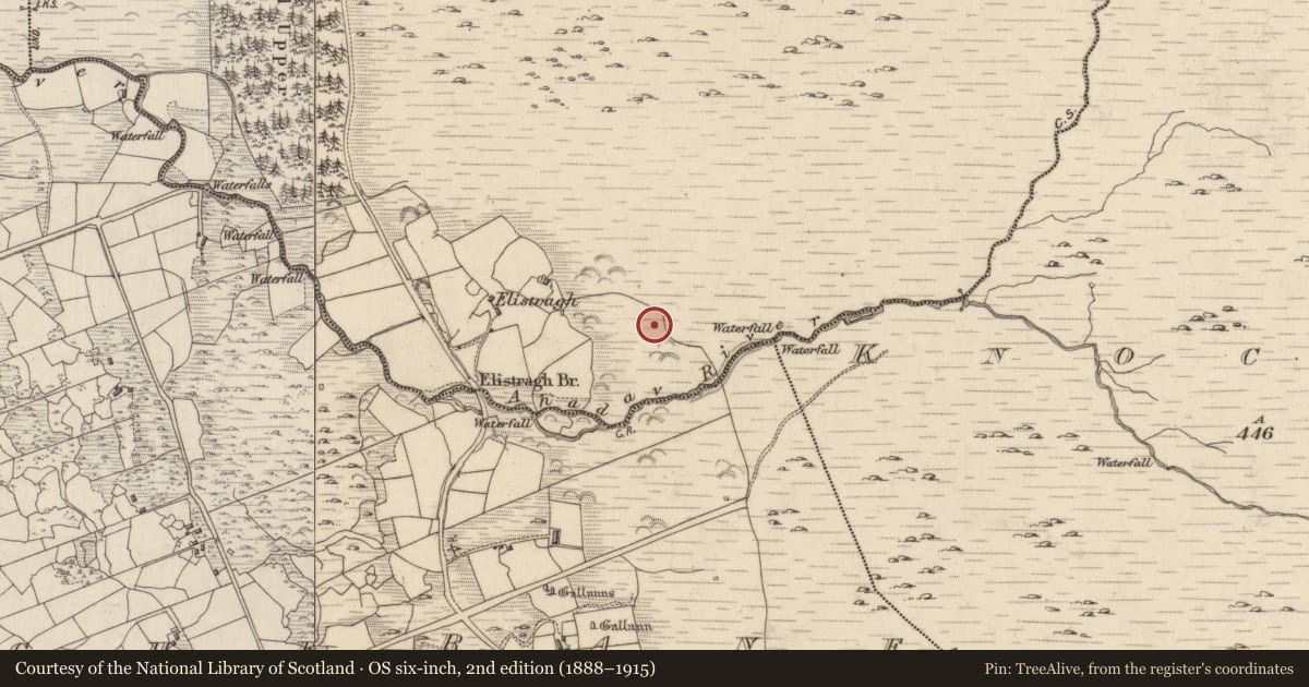 Ordnance Survey six-inch map, 2nd edition (1888–1915) covering the location of Hut site, Creeveen, County Kerry, with a pin at the register's coordinates