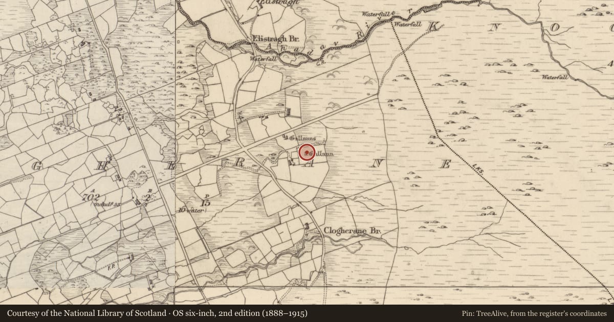 Ordnance Survey six-inch map, 2nd edition (1888–1915) covering the location of Standing stone, Clogherane, County Kerry, with a pin at the register's coordinates