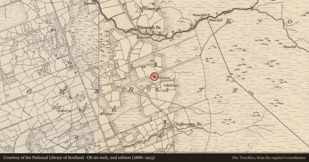 Ordnance Survey six-inch map, 2nd edition (1888–1915) covering the location of Standing stone - pair, Clogherane, County Kerry, with a pin at the register's coordinates
