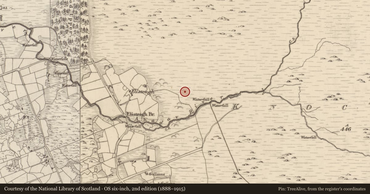 Ordnance Survey six-inch map, 2nd edition (1888–1915) covering the location of Field boundary, Creeveen, County Kerry, with a pin at the register's coordinates