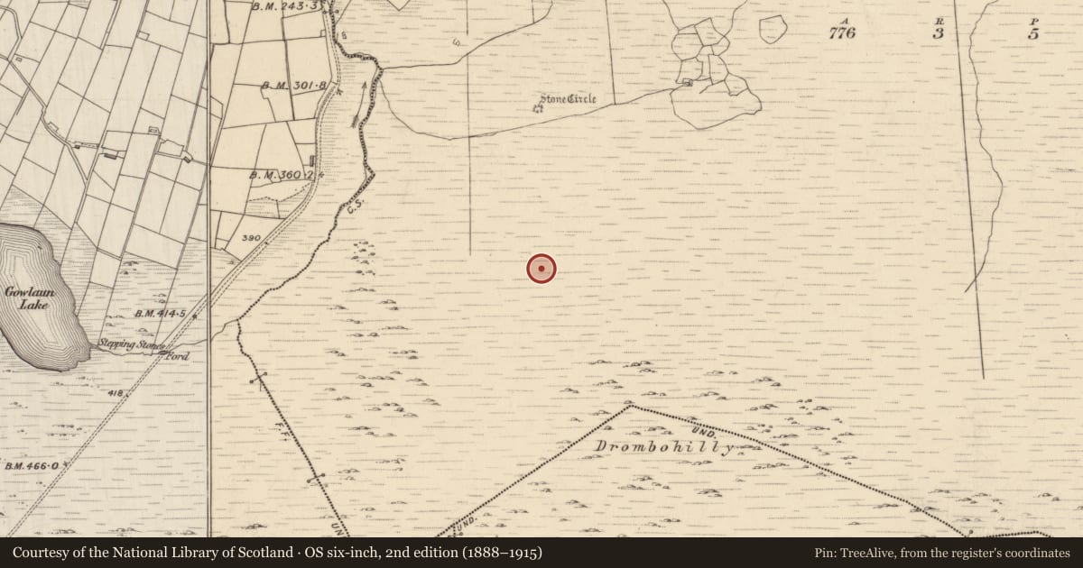 Ordnance Survey six-inch map, 2nd edition (1888–1915) covering the location of Megalithic tomb - wedge tomb, Drombohilly Upper, County Kerry, with a pin at the register's coordinates