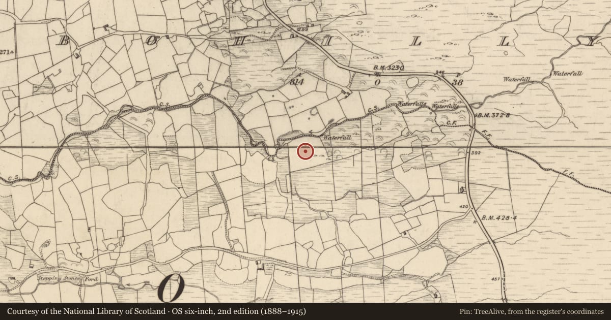 Ordnance Survey six-inch map, 2nd edition (1888–1915) covering the location of Souterrain, Drombohilly Upper, County Kerry, with a pin at the register's coordinates