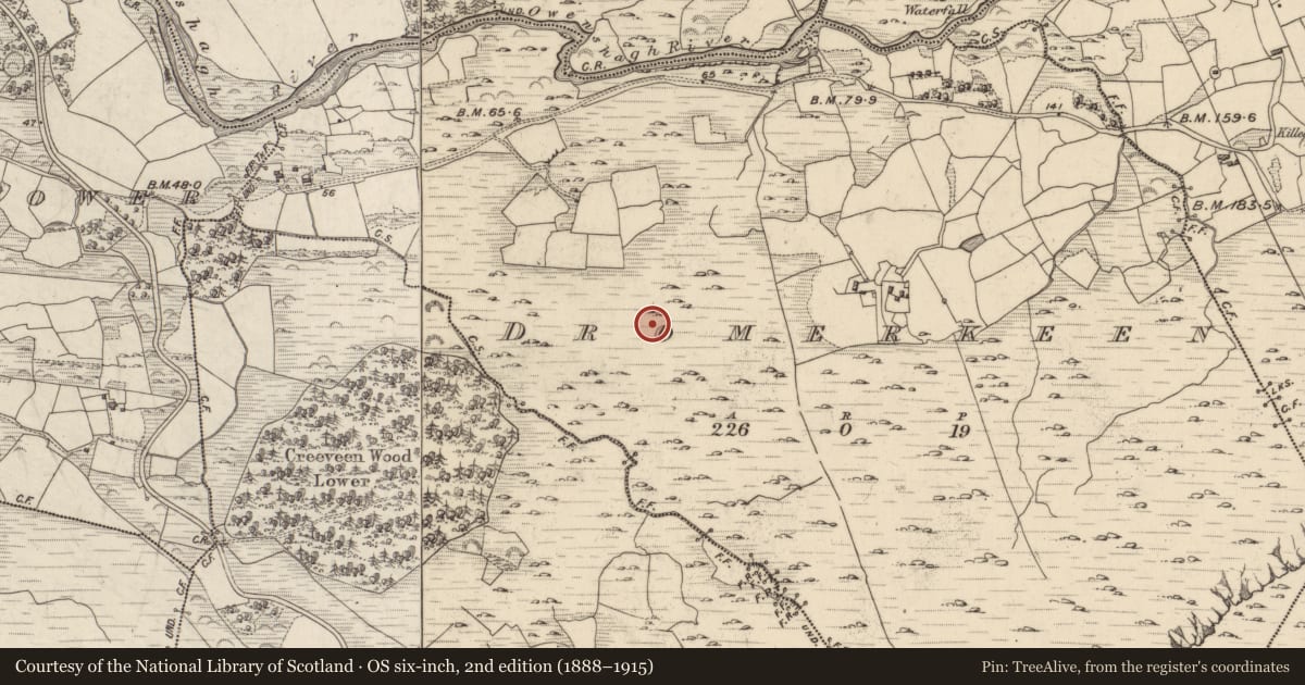 Ordnance Survey six-inch map, 2nd edition (1888–1915) covering the location of Road - unclassified togher, Dromerkeen, County Kerry, with a pin at the register's coordinates