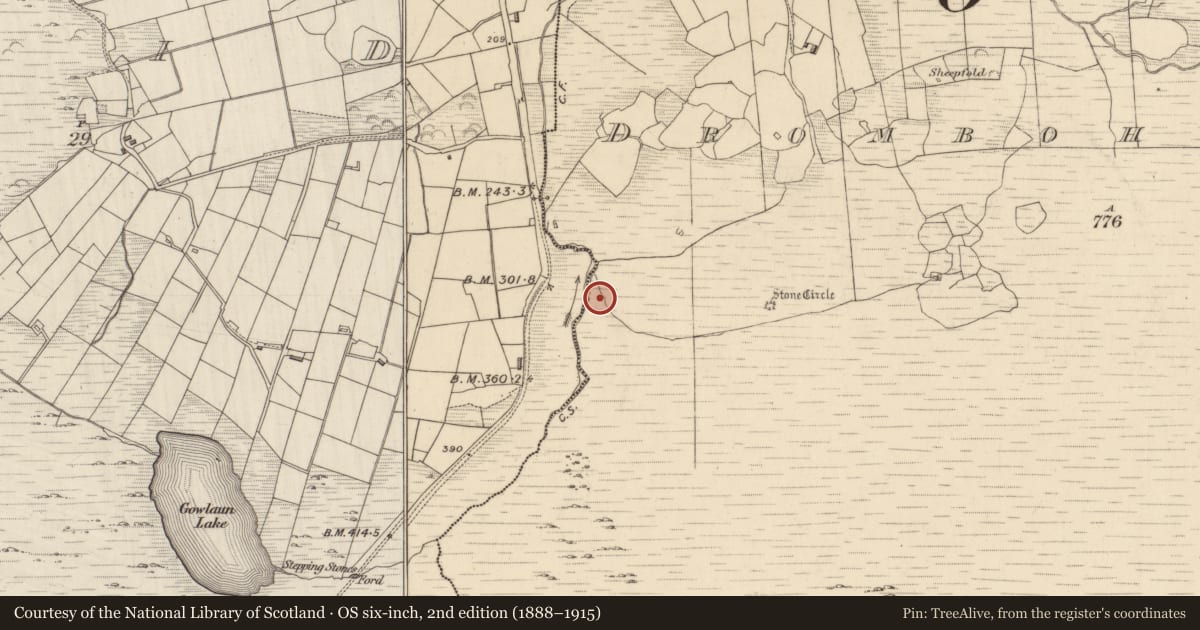 Ordnance Survey six-inch map, 2nd edition (1888–1915) covering the location of Fulacht fia, Drombohilly Upper, County Kerry, with a pin at the register's coordinates