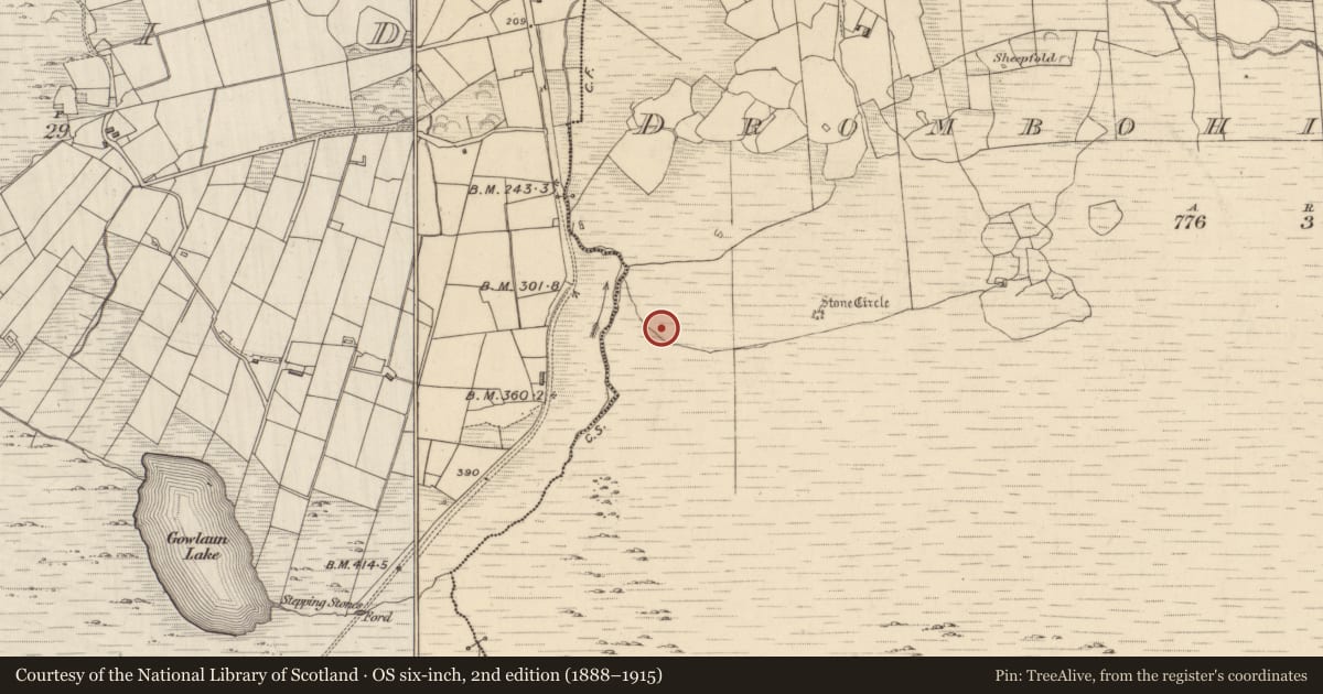 Ordnance Survey six-inch map, 2nd edition (1888–1915) covering the location of Fulacht fia, Drombohilly Upper, County Kerry, with a pin at the register's coordinates