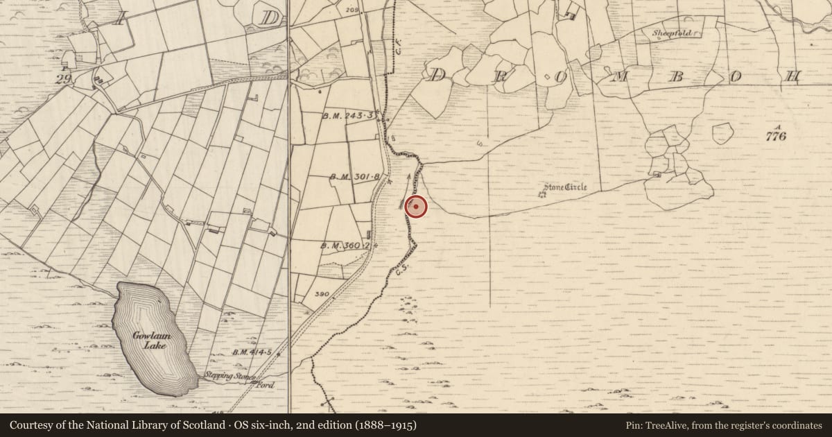 Ordnance Survey six-inch map, 2nd edition (1888–1915) covering the location of Field boundary, Drombohilly Upper, County Kerry, with a pin at the register's coordinates