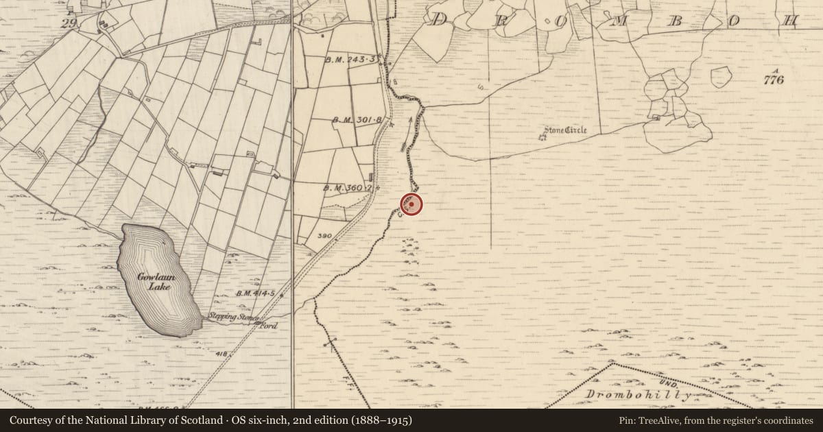 Ordnance Survey six-inch map, 2nd edition (1888–1915) covering the location of Fulacht fia, Drombohilly Upper, County Kerry, with a pin at the register's coordinates