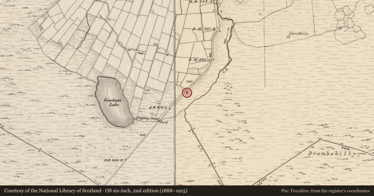 Ordnance Survey six-inch map, 2nd edition (1888–1915) covering the location of Boulder-burial, Lehid, County Kerry, with a pin at the register's coordinates