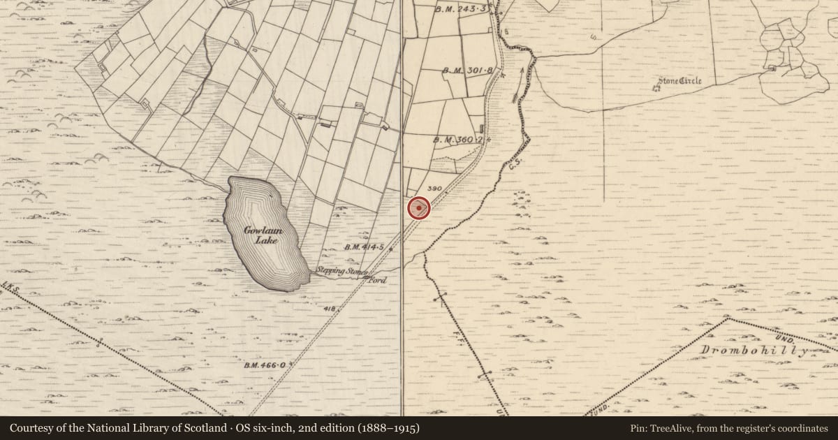 Ordnance Survey six-inch map, 2nd edition (1888–1915) covering the location of Standing stone, Lehid, County Kerry, with a pin at the register's coordinates