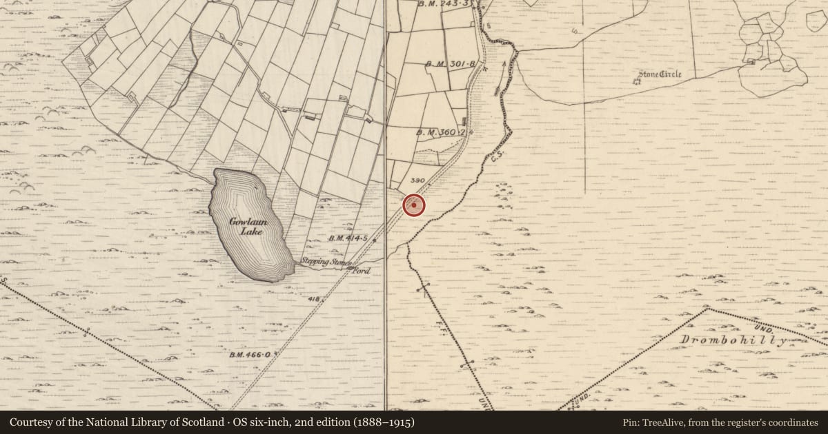 Ordnance Survey six-inch map, 2nd edition (1888–1915) covering the location of Boulder-burial, Lehid, County Kerry, with a pin at the register's coordinates