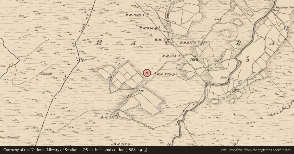 Ordnance Survey six-inch map, 2nd edition (1888–1915) covering the location of Field boundary, Baurearagh, County Kerry, with a pin at the register's coordinates
