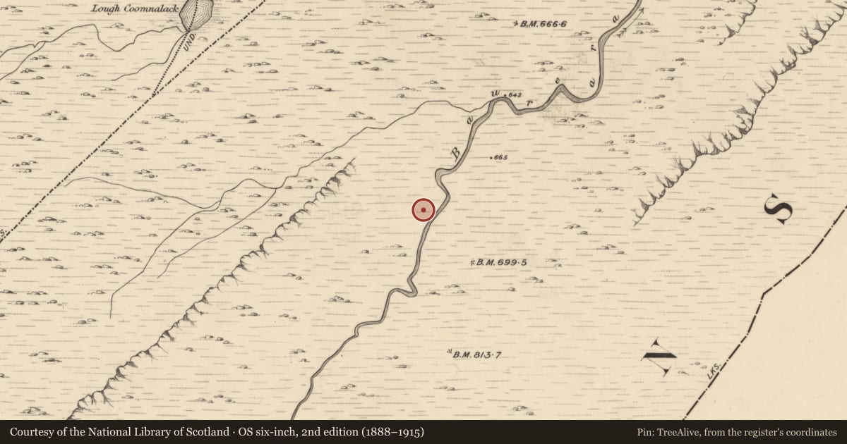 Ordnance Survey six-inch map, 2nd edition (1888–1915) covering the location of Hut site, Baurearagh, County Kerry, with a pin at the register's coordinates
