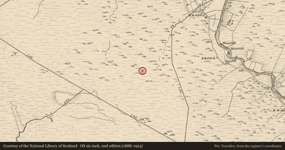 Ordnance Survey six-inch map, 2nd edition (1888–1915) covering the location of Hut site, Fehanagh, County Kerry, with a pin at the register's coordinates
