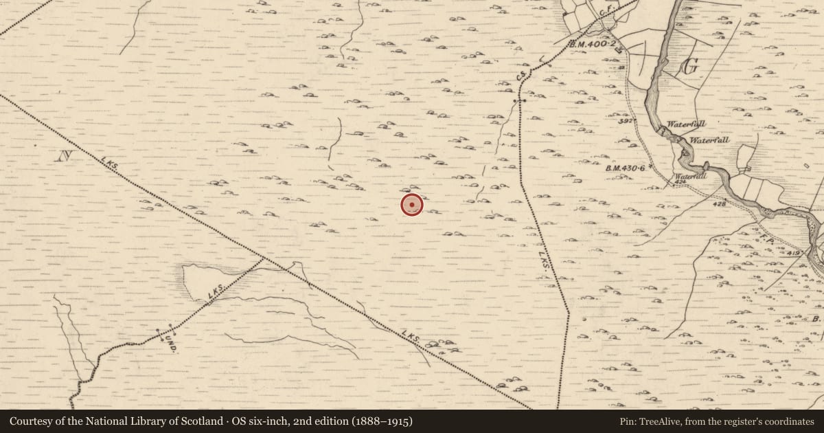 Ordnance Survey six-inch map, 2nd edition (1888–1915) covering the location of Hut site, Fehanagh, County Kerry, with a pin at the register's coordinates