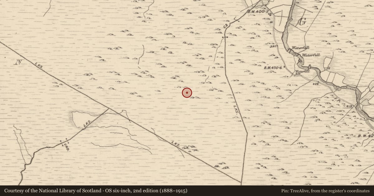 Ordnance Survey six-inch map, 2nd edition (1888–1915) covering the location of Hut site, Fehanagh, County Kerry, with a pin at the register's coordinates