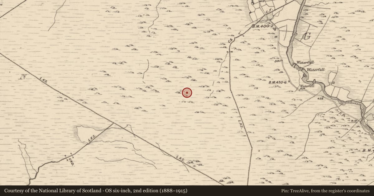 Ordnance Survey six-inch map, 2nd edition (1888–1915) covering the location of Hut site, Fehanagh, County Kerry, with a pin at the register's coordinates