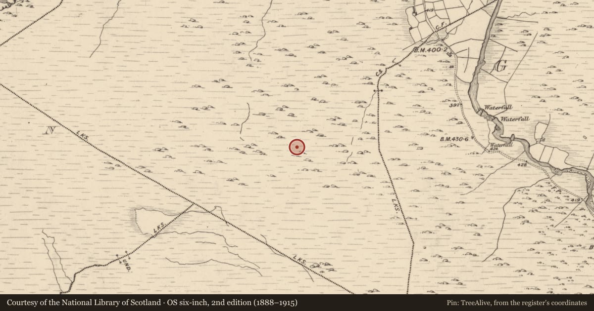 Ordnance Survey six-inch map, 2nd edition (1888–1915) covering the location of Field boundary, Fehanagh, County Kerry, with a pin at the register's coordinates