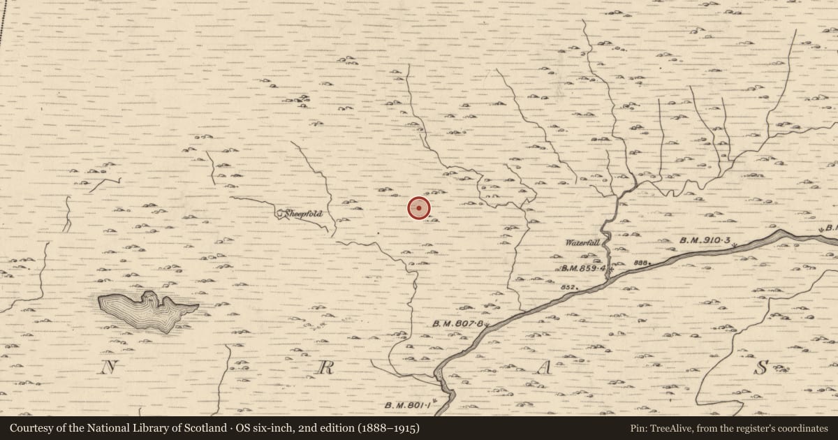 Ordnance Survey six-inch map, 2nd edition (1888–1915) covering the location of Rock scribing, Glanrastel, County Kerry, with a pin at the register's coordinates