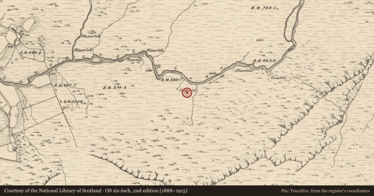 Ordnance Survey six-inch map, 2nd edition (1888–1915) covering the location of Hut site, Glanrastel, County Kerry, with a pin at the register's coordinates