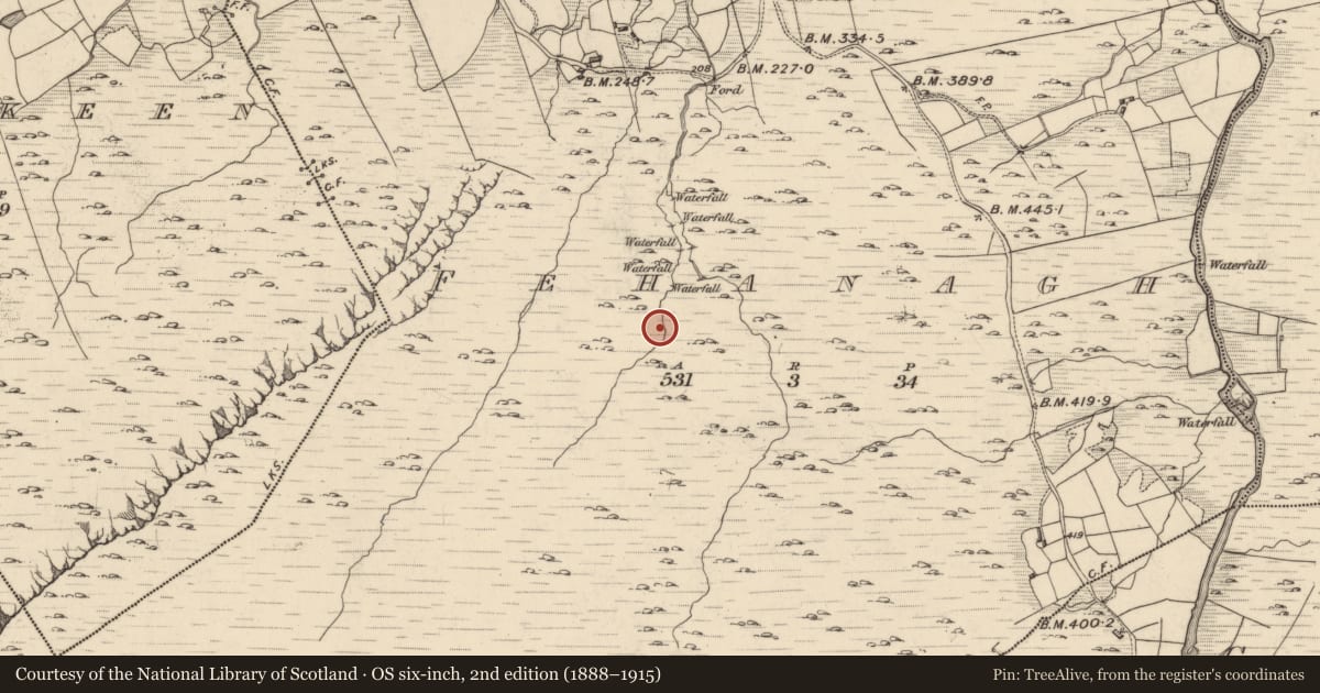 Ordnance Survey six-inch map, 2nd edition (1888–1915) covering the location of Field boundary, Fehanagh, County Kerry, with a pin at the register's coordinates
