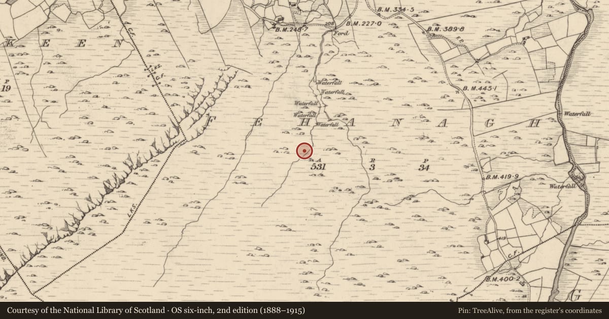Ordnance Survey six-inch map, 2nd edition (1888–1915) covering the location of Hut site, Fehanagh, County Kerry, with a pin at the register's coordinates