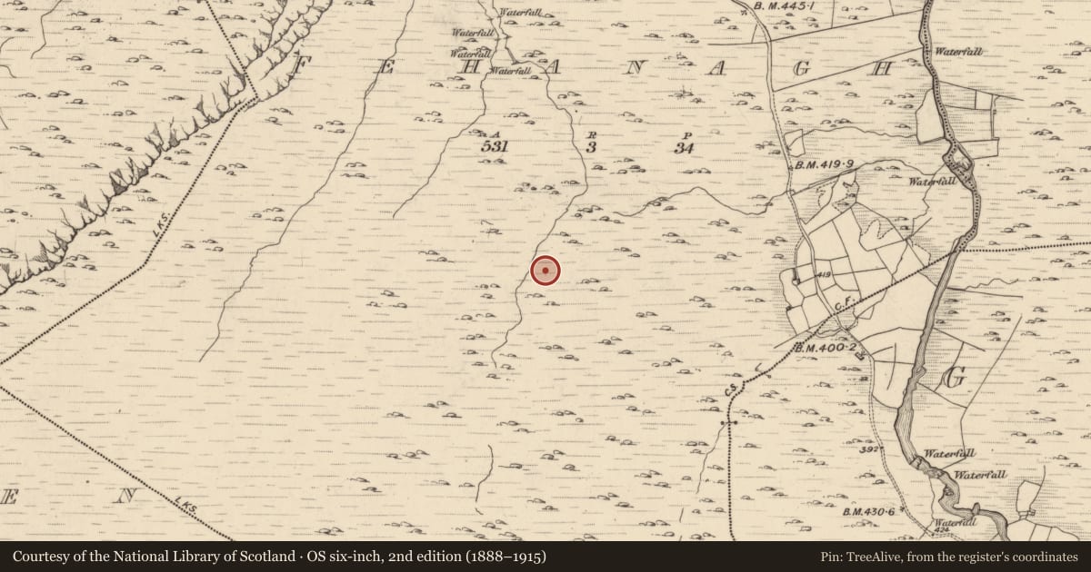 Ordnance Survey six-inch map, 2nd edition (1888–1915) covering the location of Hut site, Fehanagh, County Kerry, with a pin at the register's coordinates