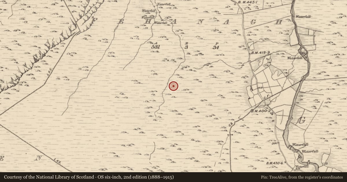 Ordnance Survey six-inch map, 2nd edition (1888–1915) covering the location of Hut site, Fehanagh, County Kerry, with a pin at the register's coordinates