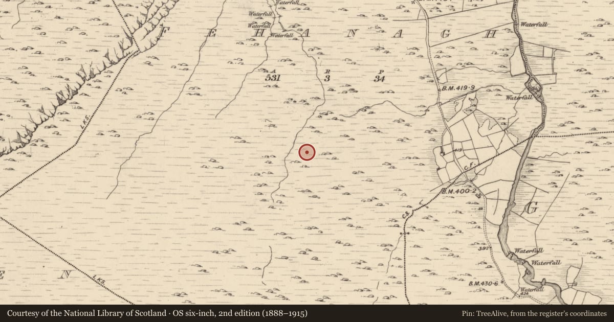 Ordnance Survey six-inch map, 2nd edition (1888–1915) covering the location of Hut site, Fehanagh, County Kerry, with a pin at the register's coordinates