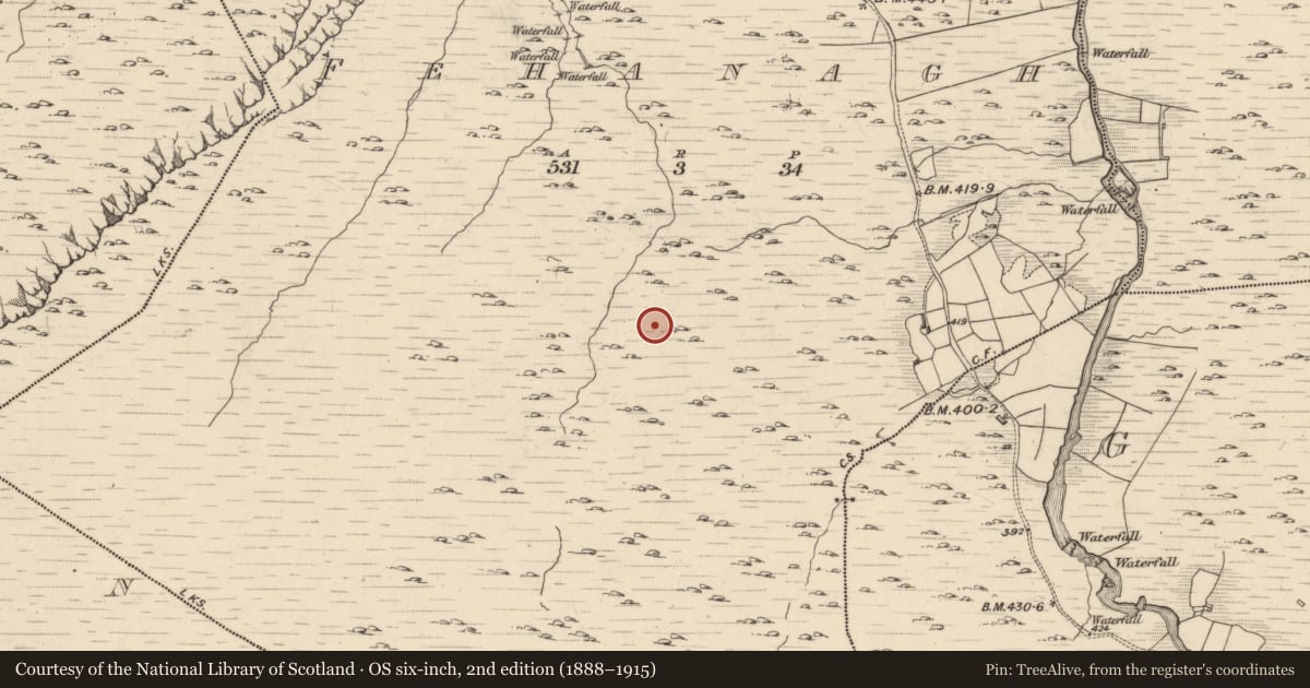 Ordnance Survey six-inch map, 2nd edition (1888–1915) covering the location of Hut site, Fehanagh, County Kerry, with a pin at the register's coordinates